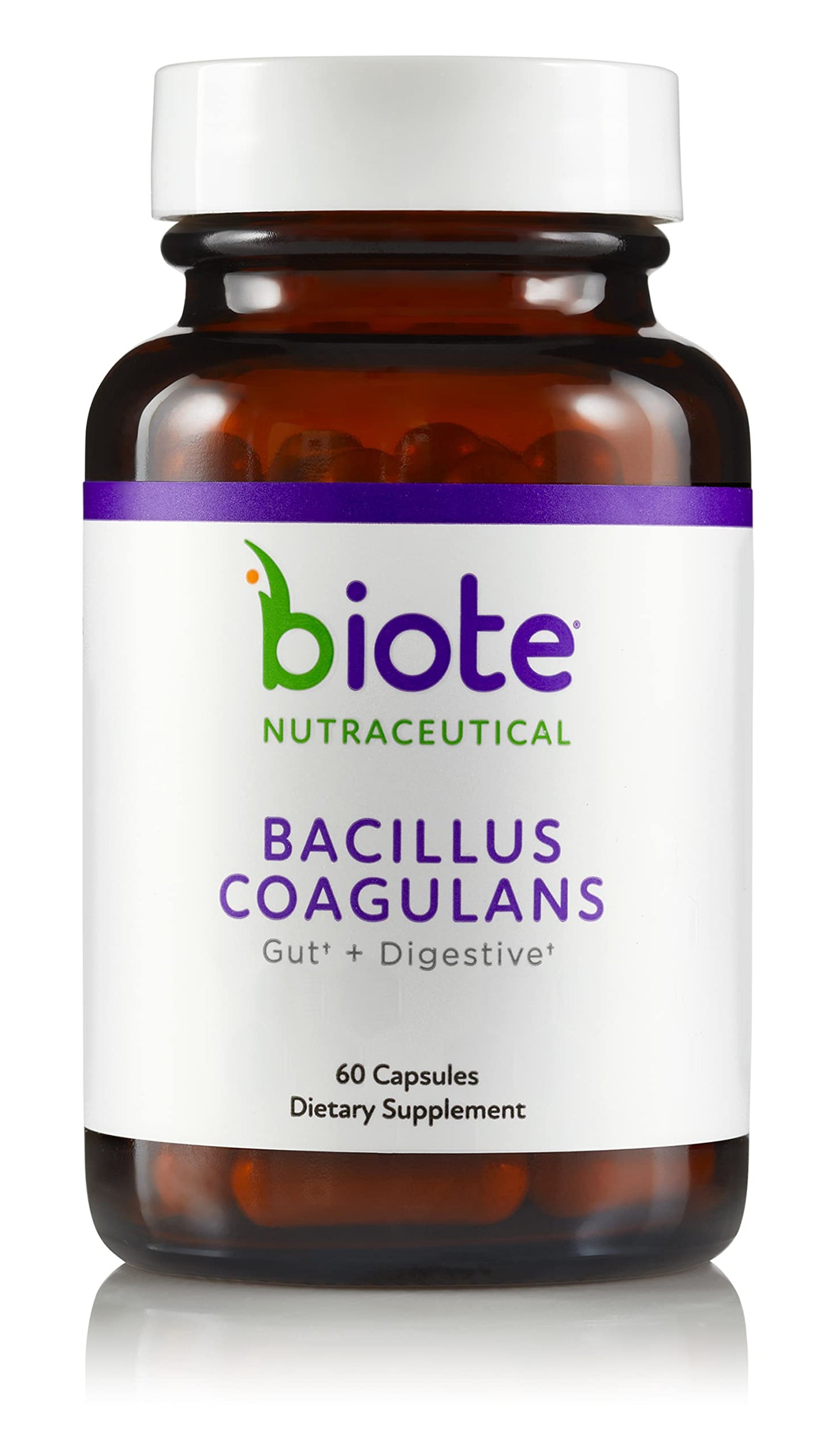 Bascillus Coagulans